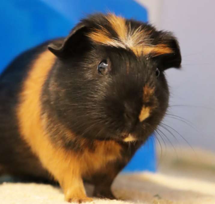 Photo of Billy Bob