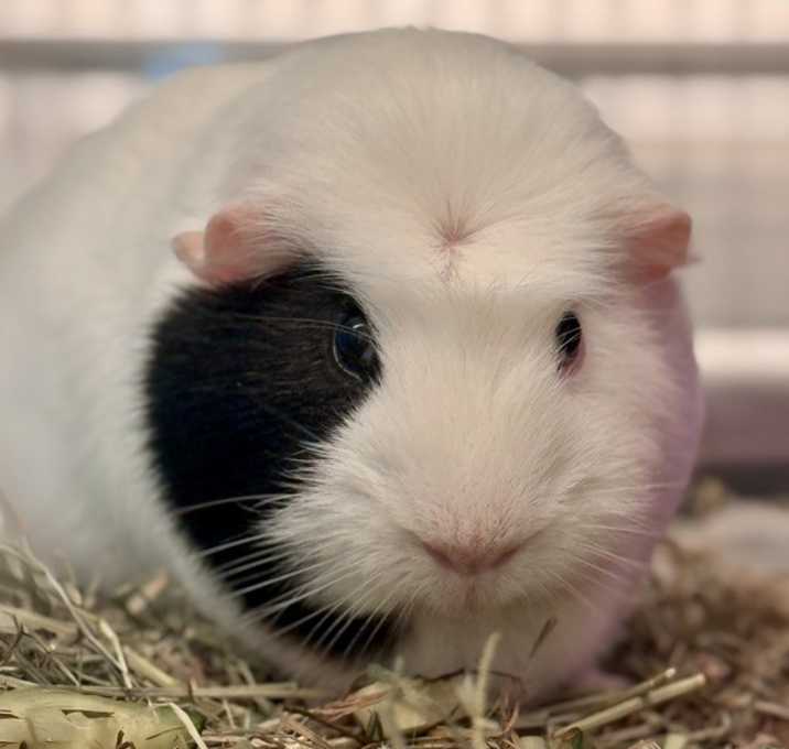 Photo of Moody