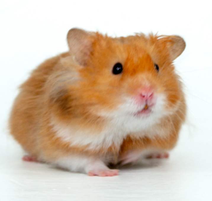 Photo of Sandy