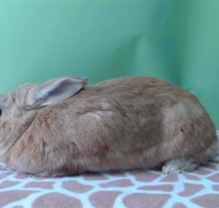 Photo of TANGO