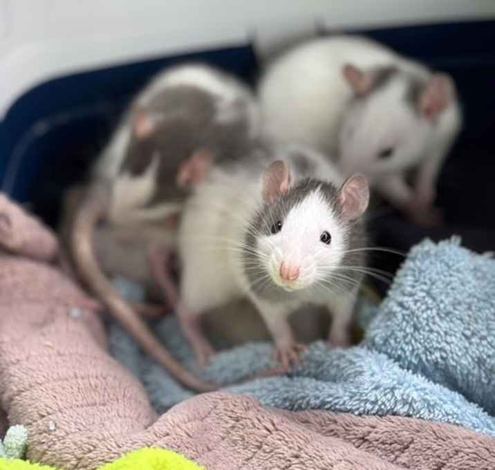 Photo of April & May