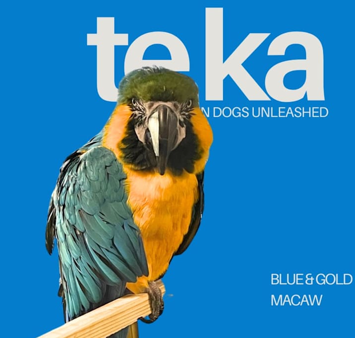 Photo of Te Ka
