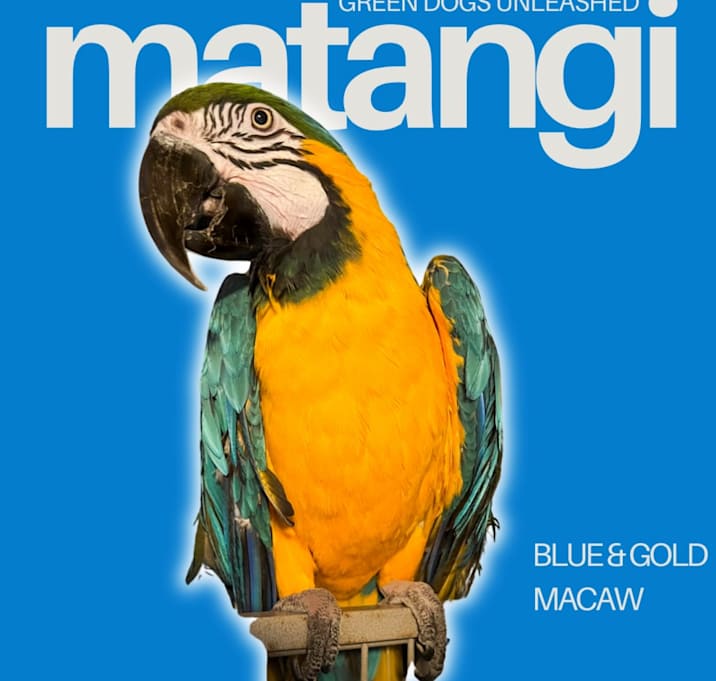 Photo of Matangi