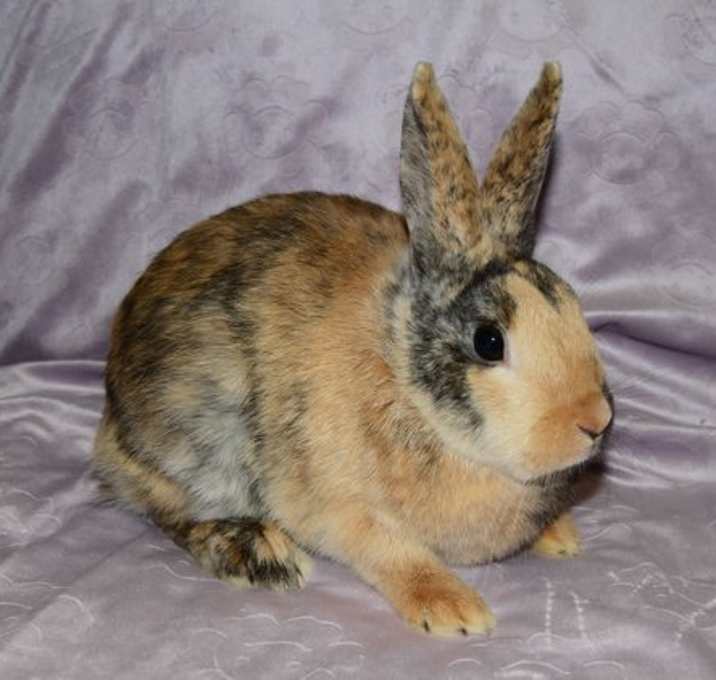 Photo of Sandra