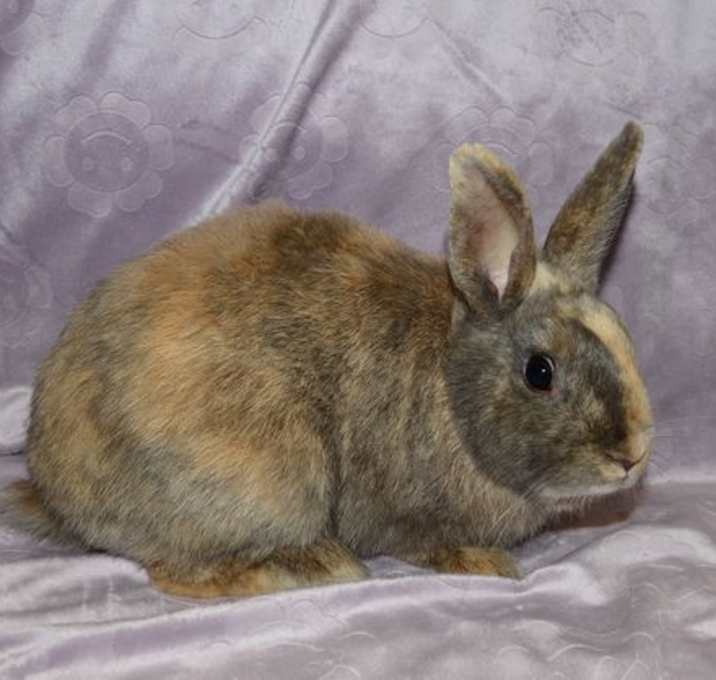 Photo of Sailor