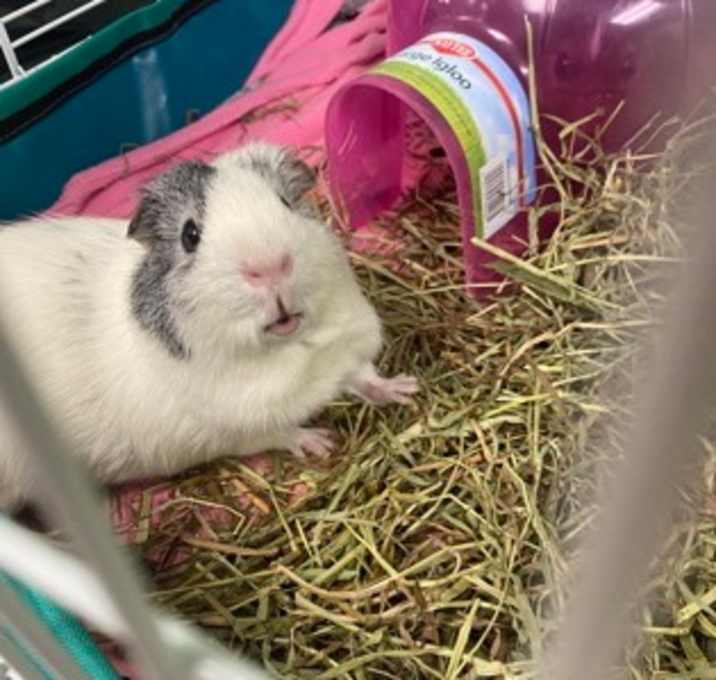 Photo of Lenny