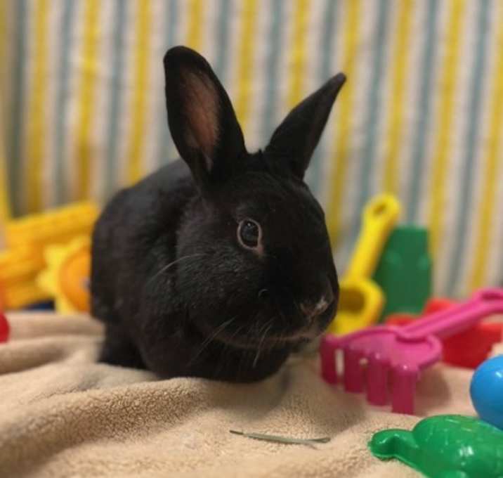 Photo of Riley