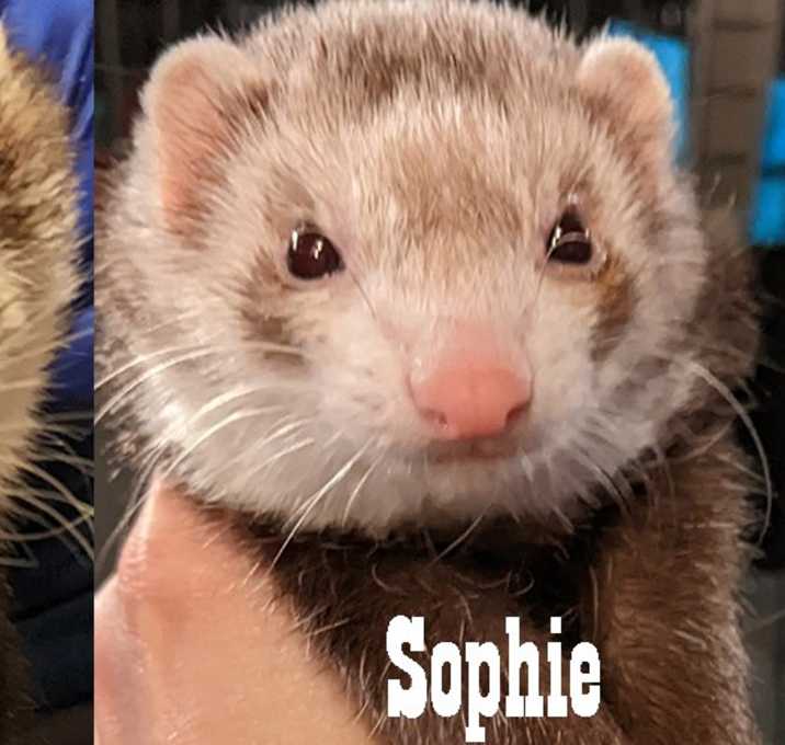 Photo of Milo & Sophie