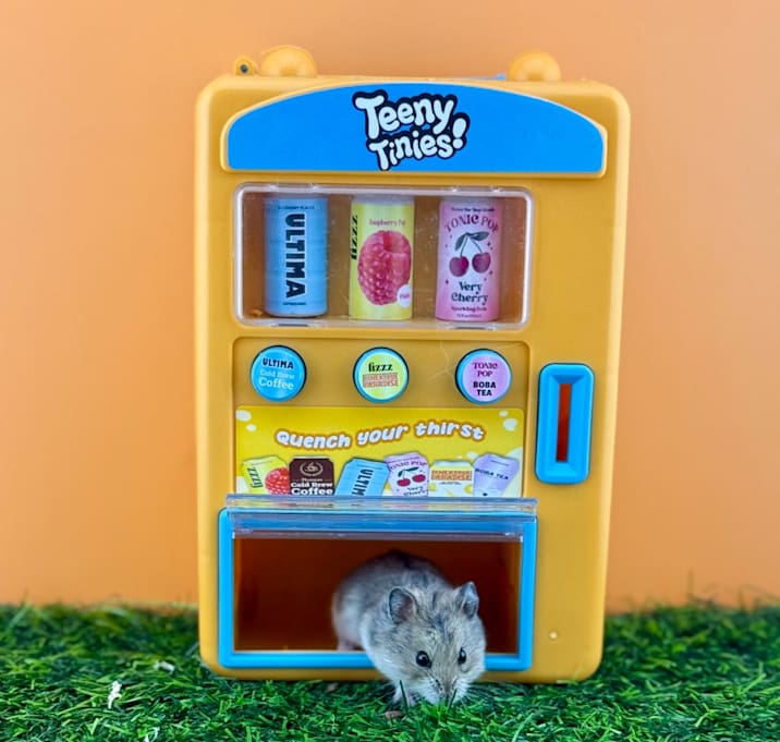 Photo of Olipop