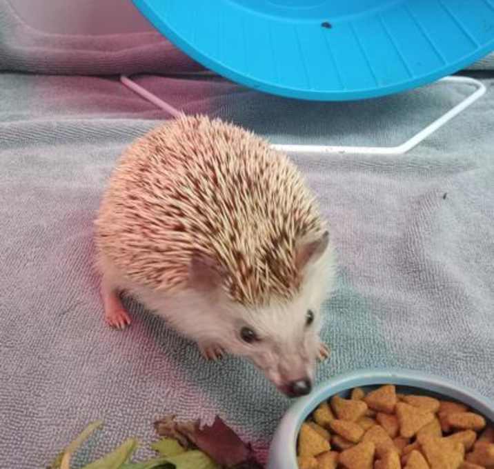 Photo of Charlie