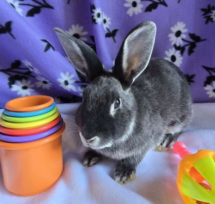 Photo of Jilly