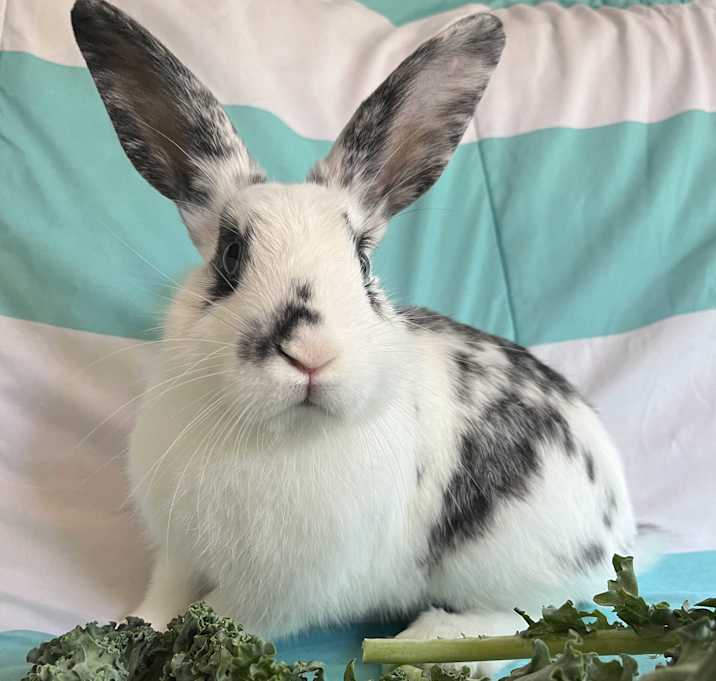 Photo of Maui