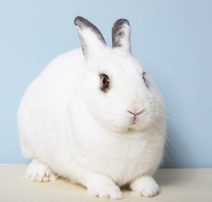 Photo of Motherboard