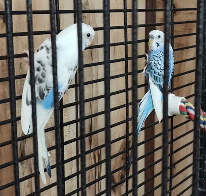 Photo of Ted & Alberta
