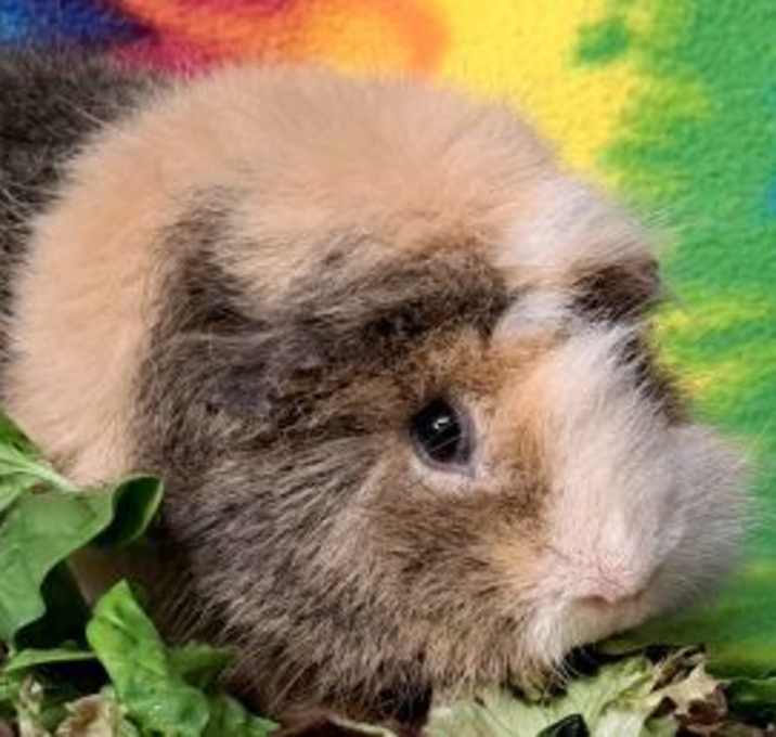 Photo of Jill