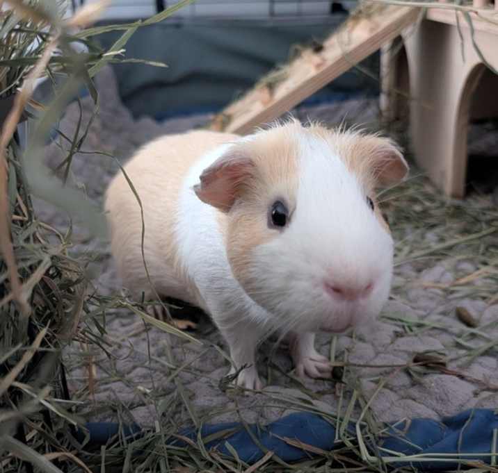 Photo of Egor