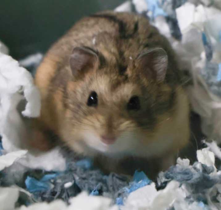 Photo of Nicky