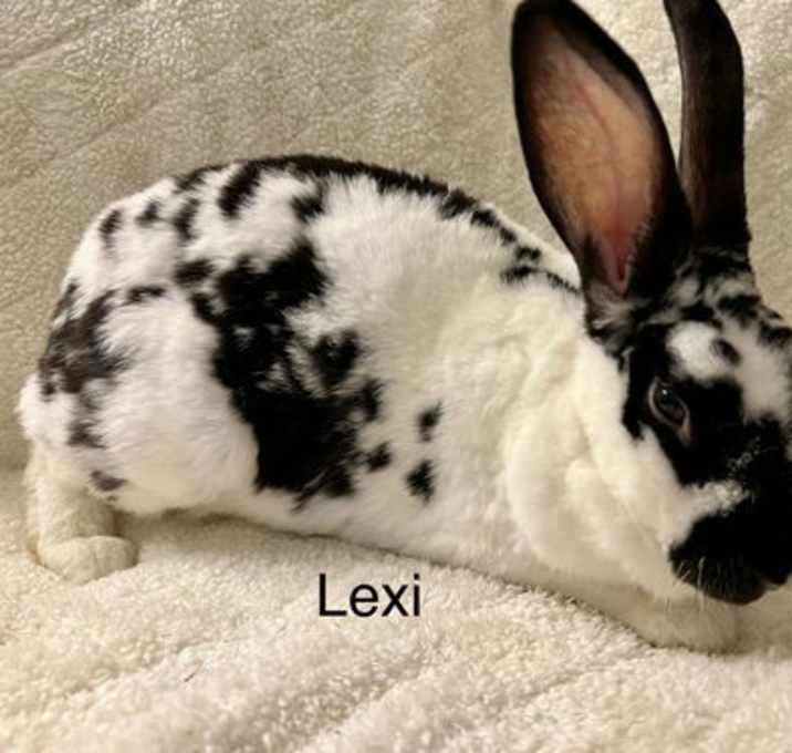 Photo of Lexi