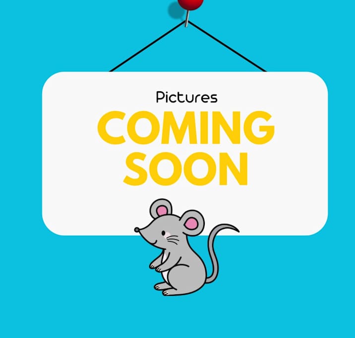 Photo of Assorted Female Mice