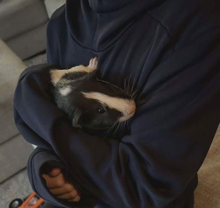 Photo of Hopper and Skipper