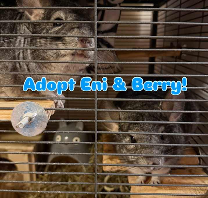 Photo of Eni & Berry BONDED