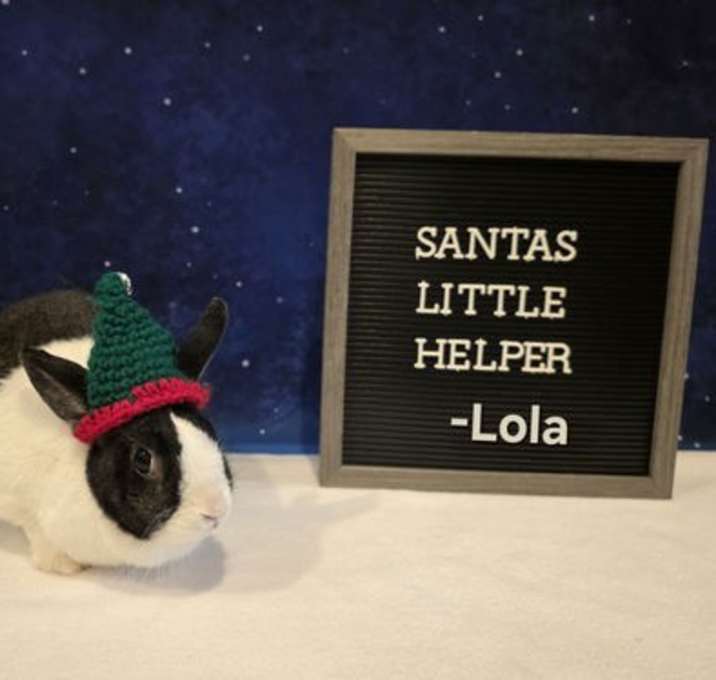 Photo of Lola