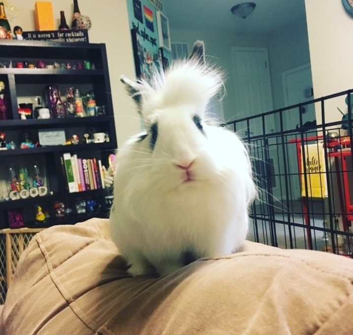 Photo of Barbara Christine (Waitlist)