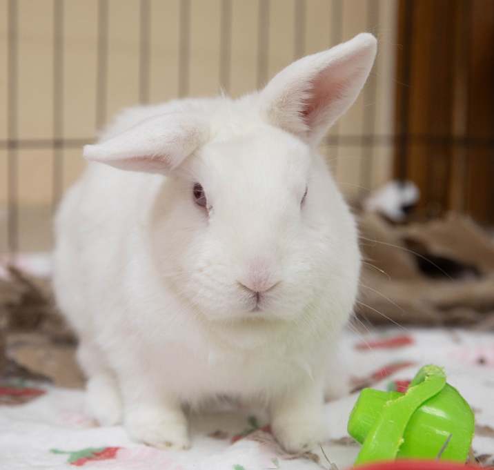 Photo of Brick Tamland