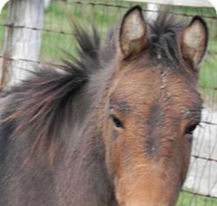 Photo of Stanley