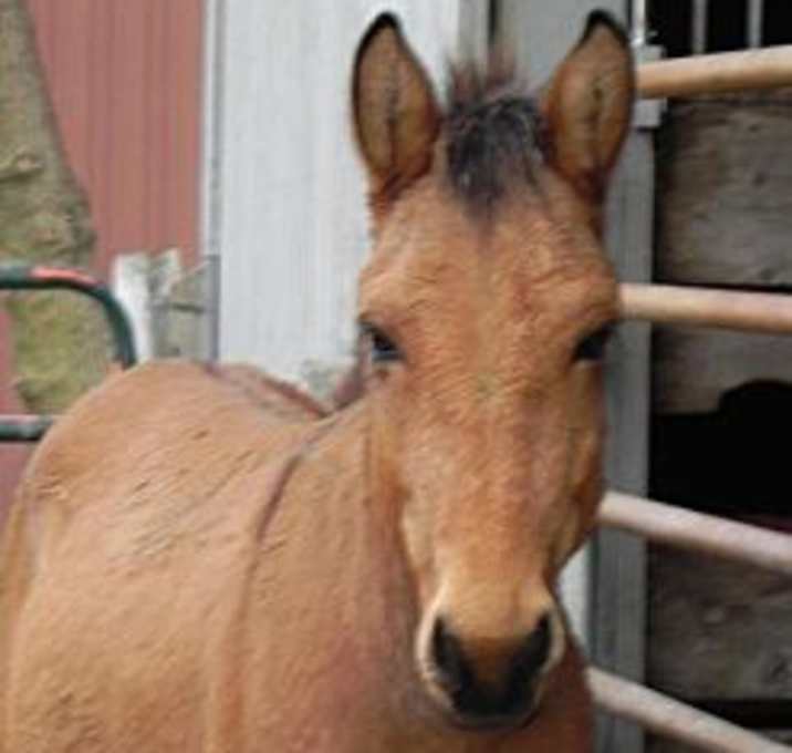 Photo of Samule