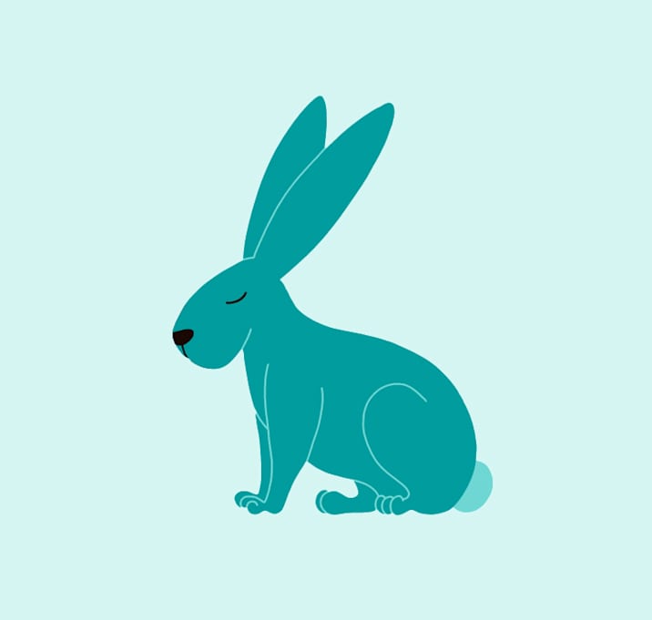 Photo of Smarty