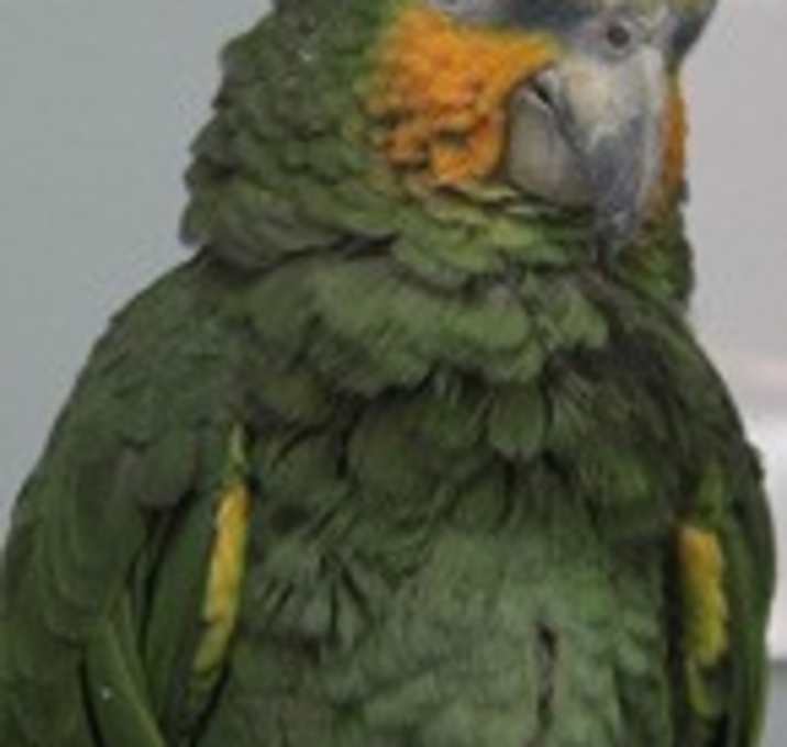 Photo of moe