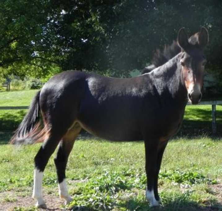 Photo of Sugar Rae