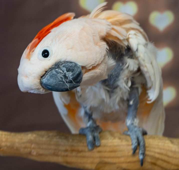 Photo of Cisco