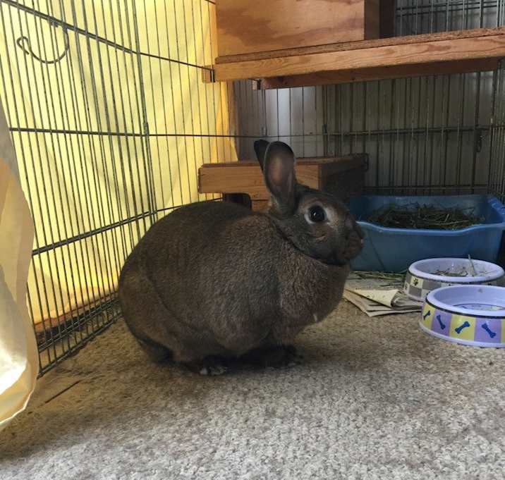 Photo of Forever in Our Care: Betsy