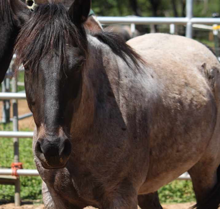 Photo of Blue