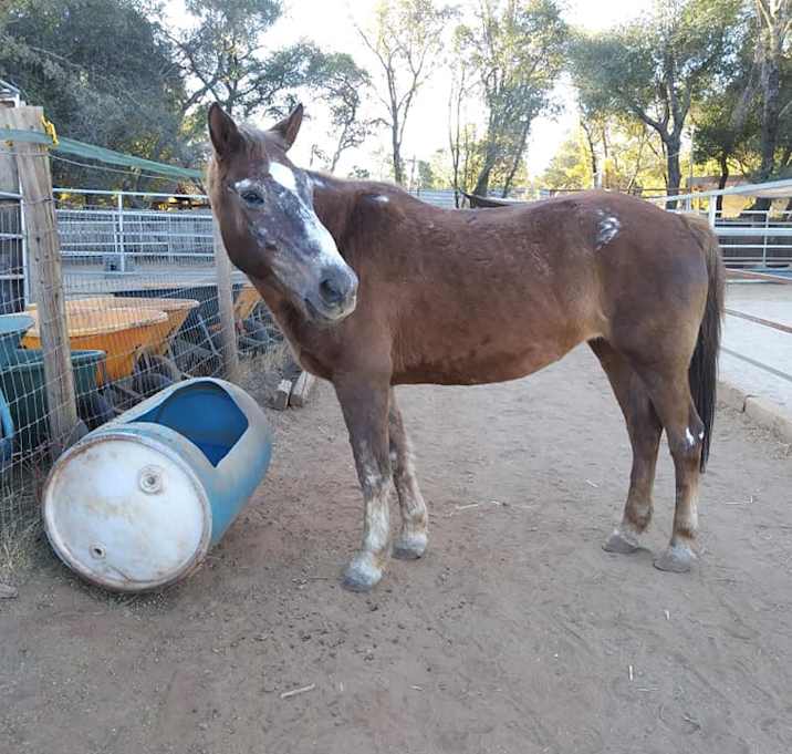 Photo of Bonnie