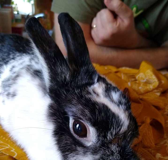 Photo of Forever in Our Care:  Louise