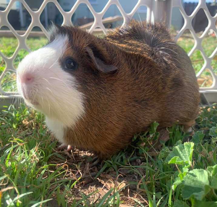 Photo of Jessica Jones