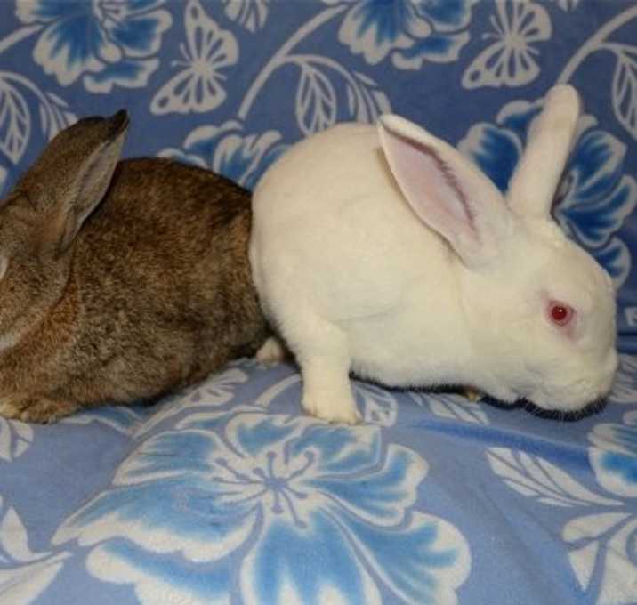 Photo of Lamar and Luther