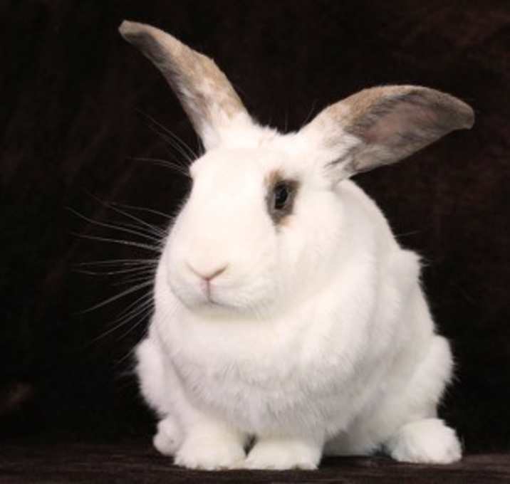 Photo of Charity