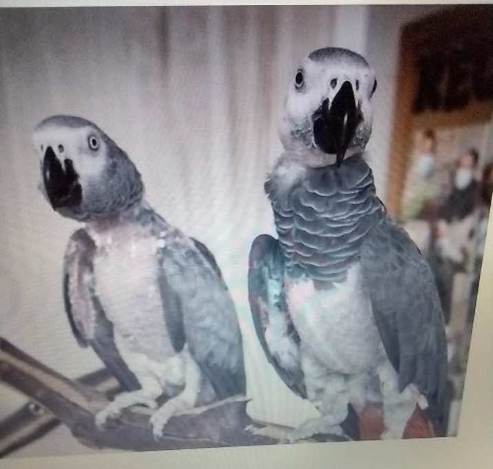 Photo of Bill & Betty