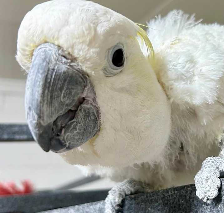 Photo of Ricki