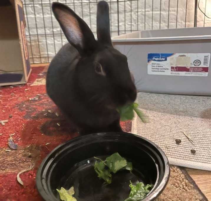 Photo of Timmy