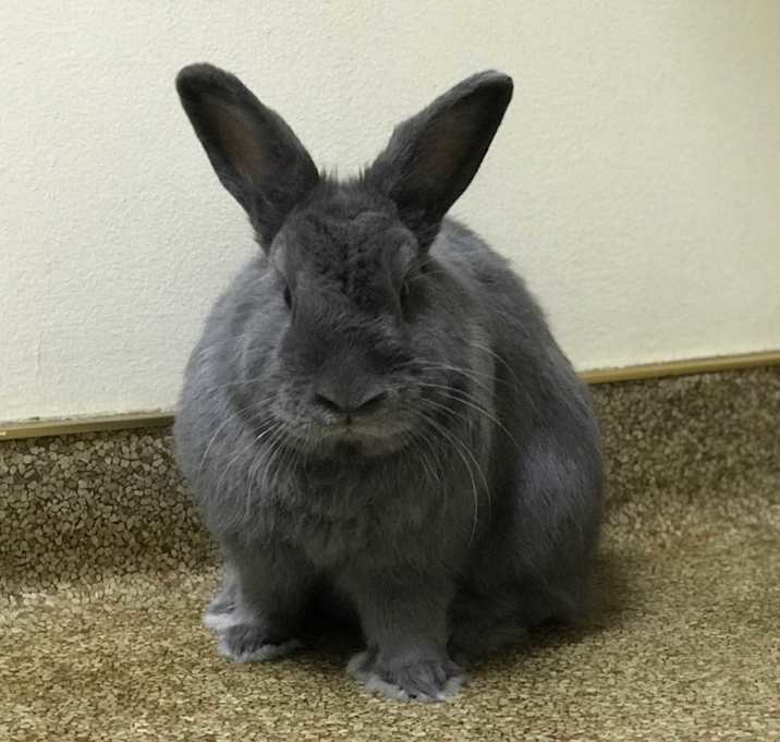 Photo of Sally