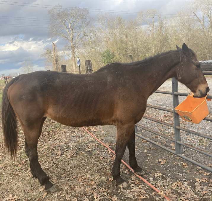 Photo of Charm