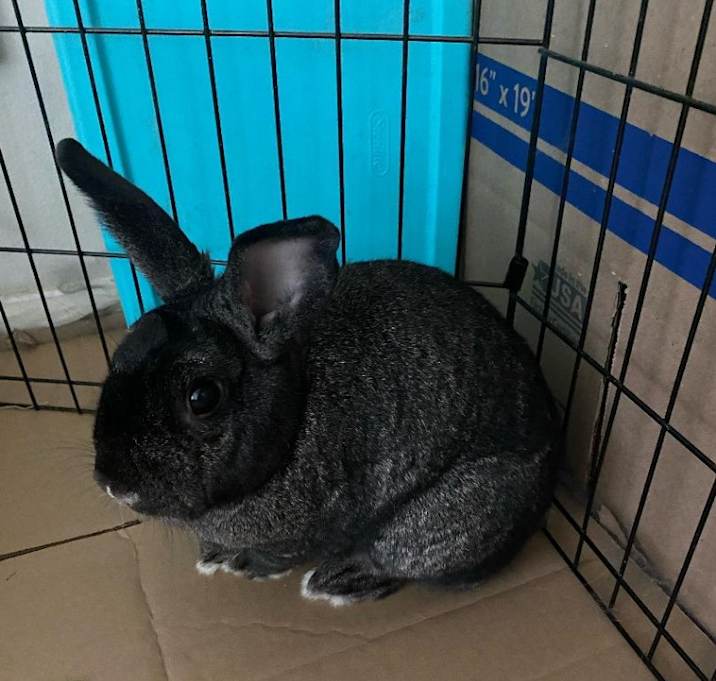 Photo of Jake