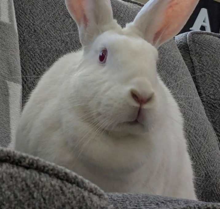 Photo of Margot