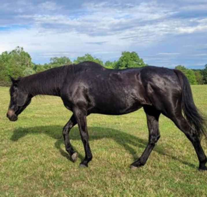 Photo of Missy