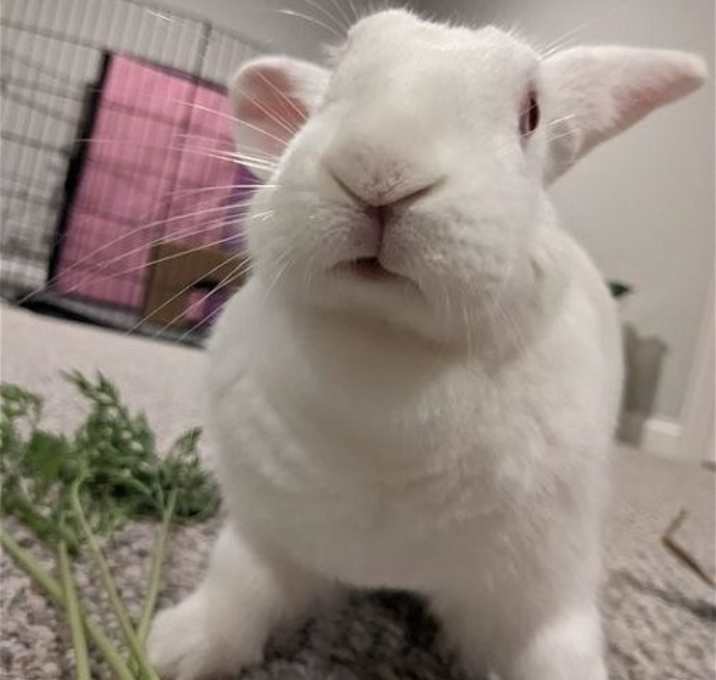 Photo of Sabrina
